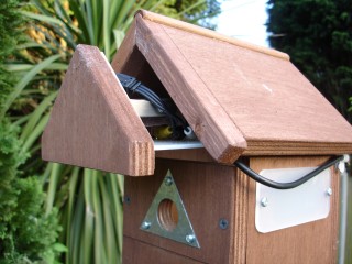 The camera in the top of the nest box
