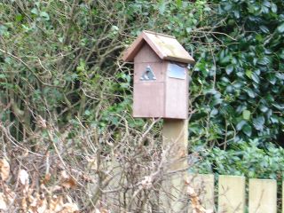 Bird box moved to a new position