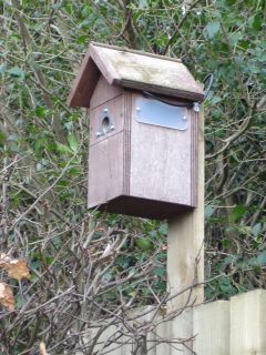 Bird box moved to a new position